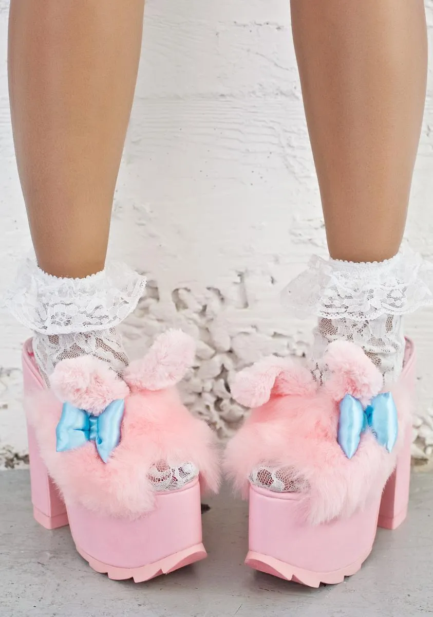 Dream My Melody Platforms