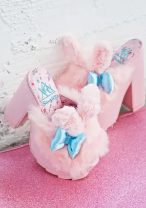 Dream My Melody Platforms