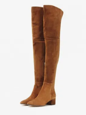 Brown Chunky Heel Suede Thigh High Boots