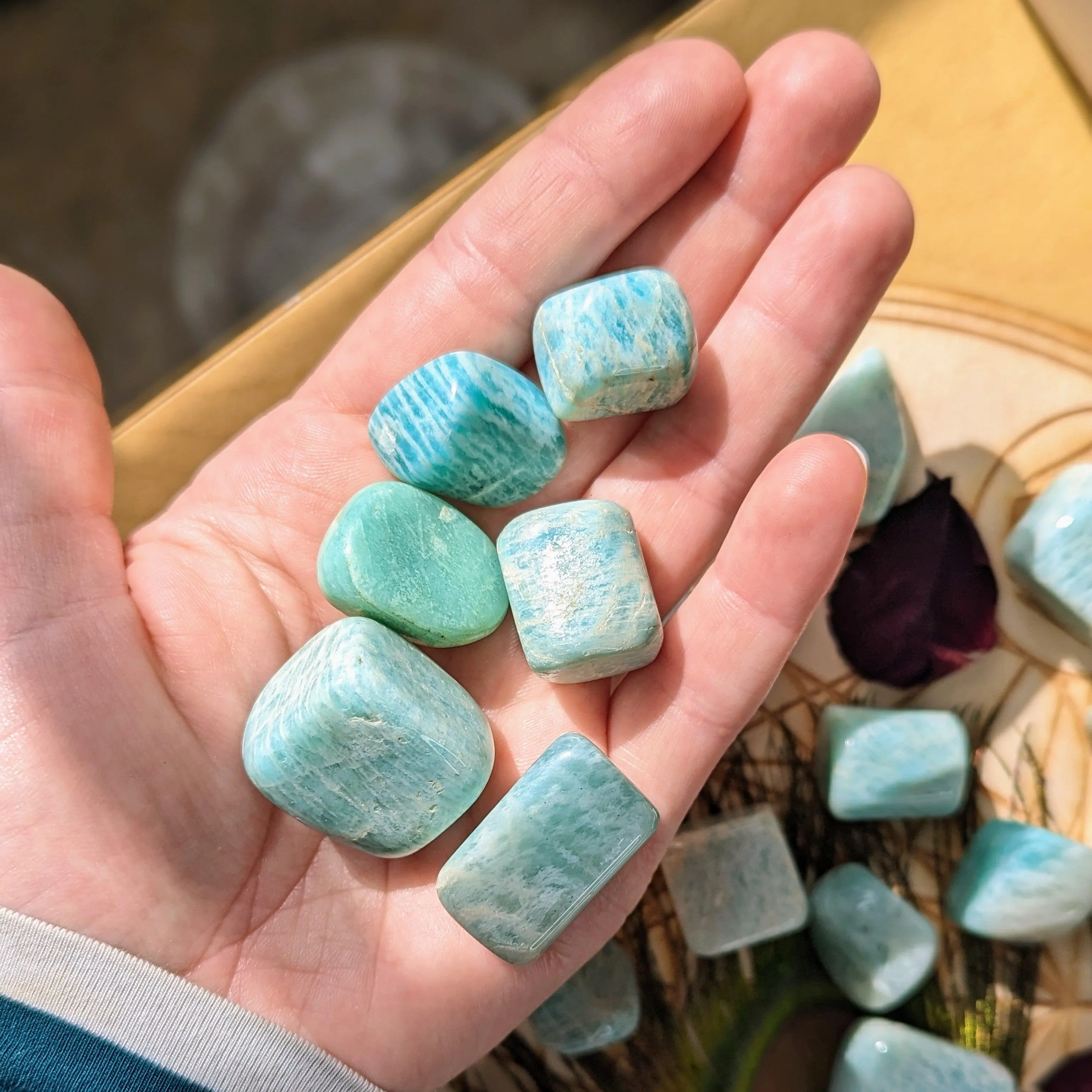 Tumbled Amazonite Set of 6 ~ from India ~